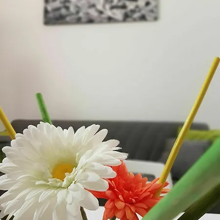 Apartment Fico Fiera Bologna